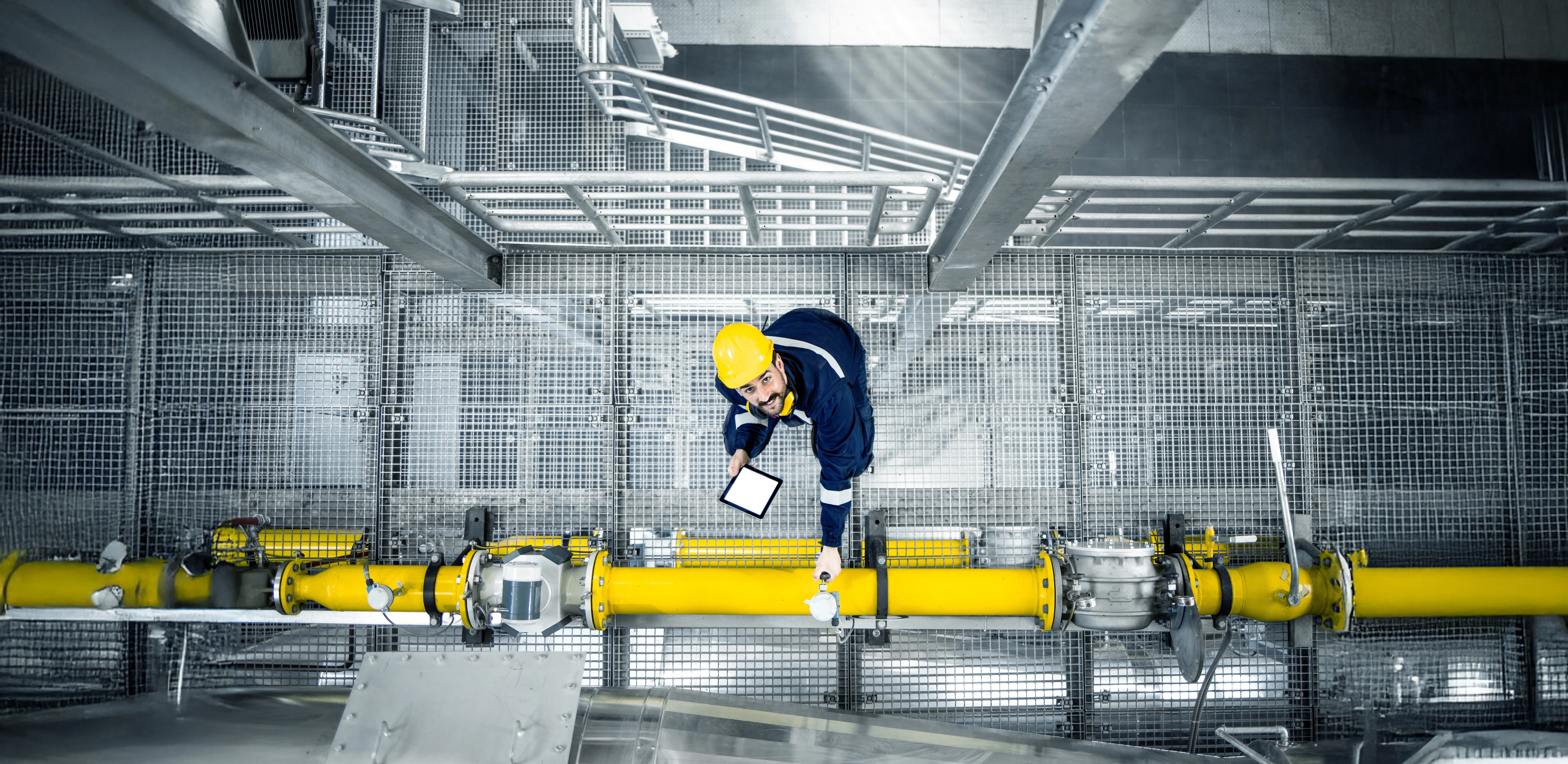 shutterstock_2193307897_bearb